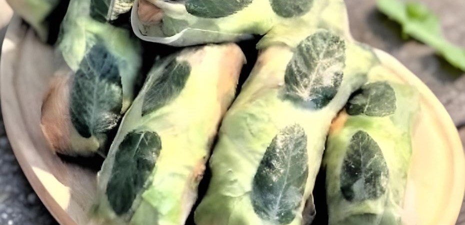 Rouleaux de printemps