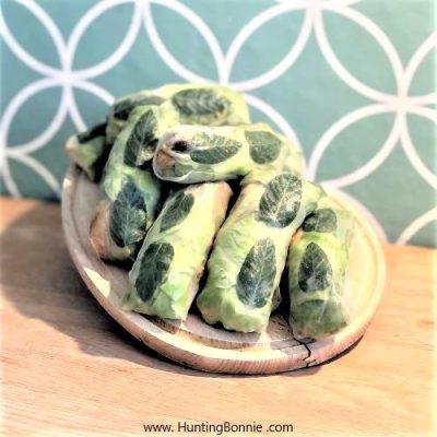 ROULEAUX DE PRINTEMPS