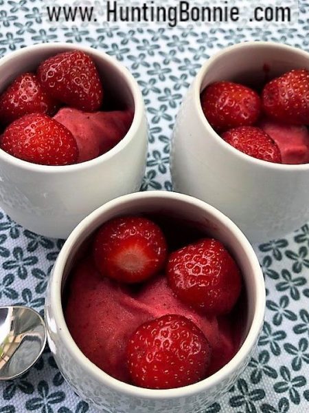GLACE À LA FRAISE MINUTE SANS SORBETIÈRE : De la fraicheur pour tous les desserts.