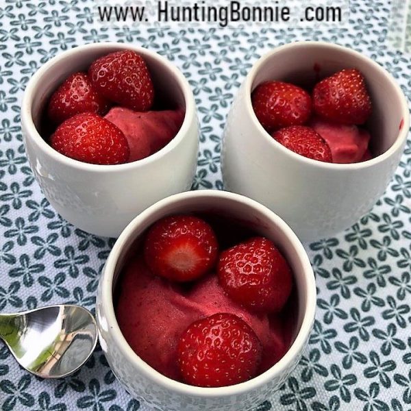 GLACE À LA FRAISE MINUTE SANS SORBETIÈRE : De la fraicheur pour tous les desserts.