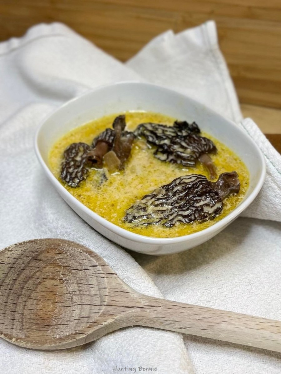 SAUCE CRÉMEUSE AUX MORILLES