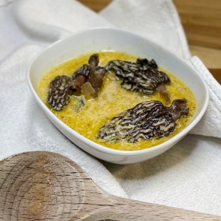 Sauce crémeuse aux morilles dans un bol