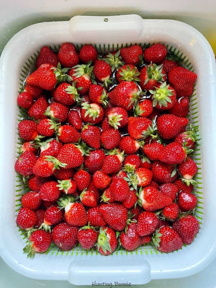 Fraises Cléry - producteur LA ROSÉE à Mauguio