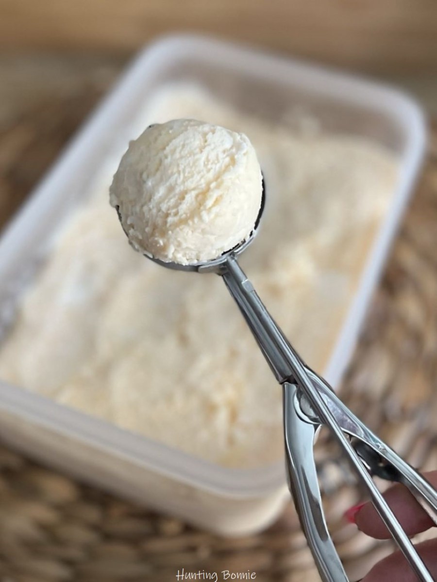 GLACE au MELON