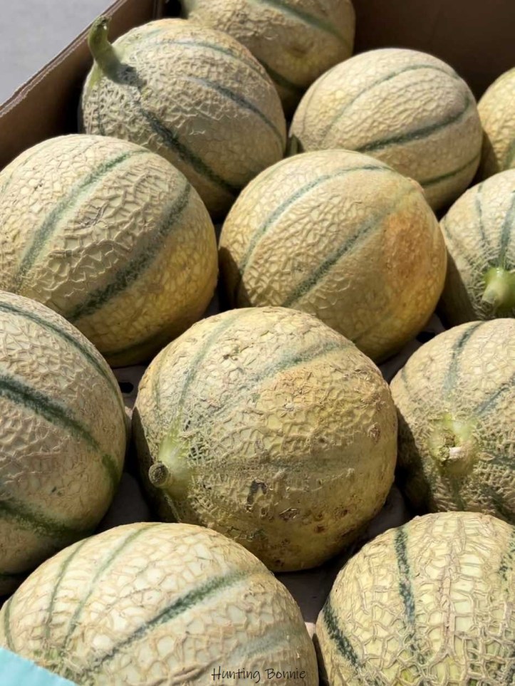 Melons