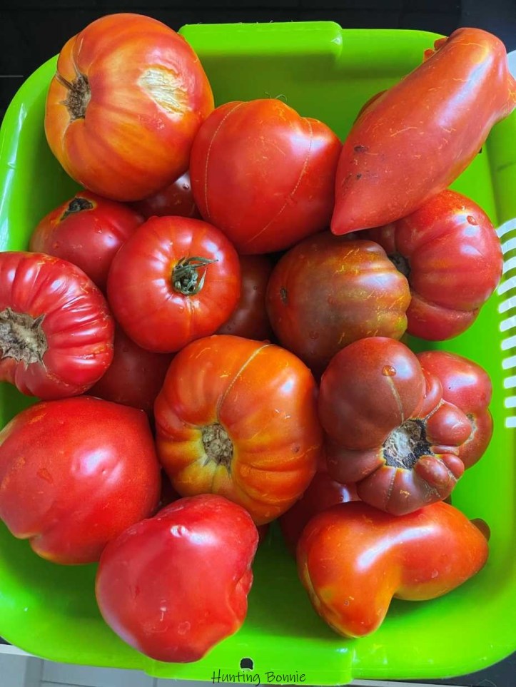 Mélange de tomates