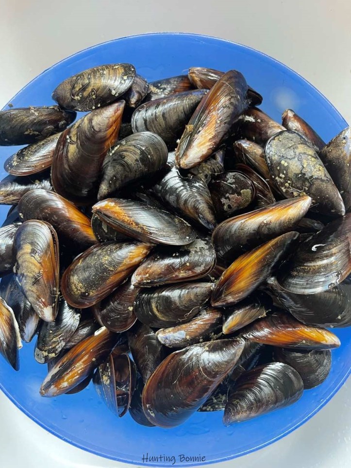 Moules crues