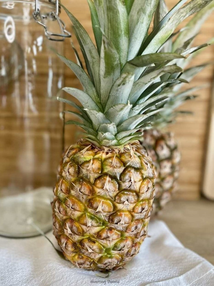 Ananas