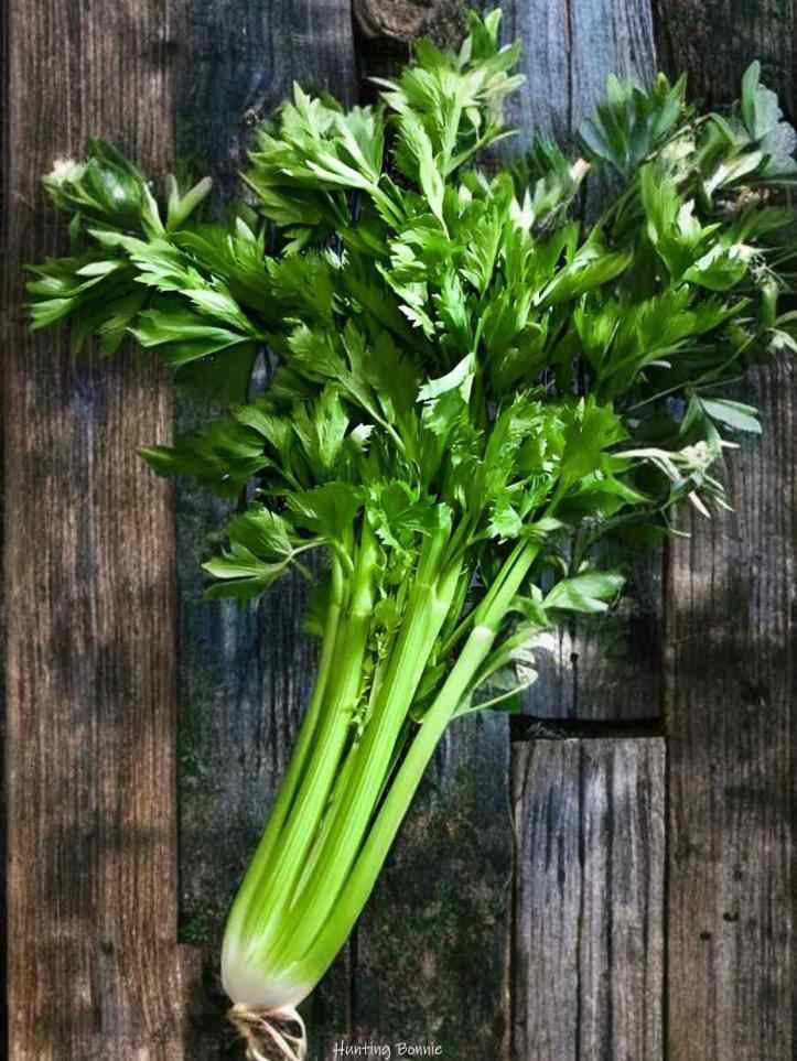 Céleri branche