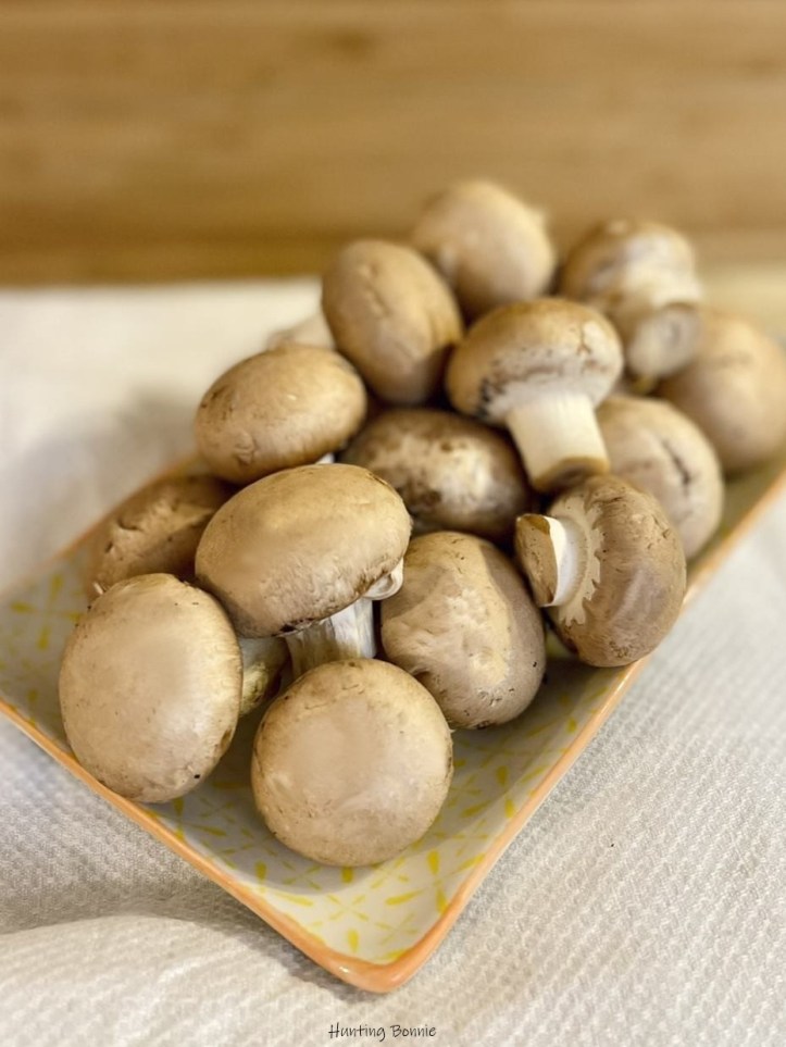 Champignons bruns