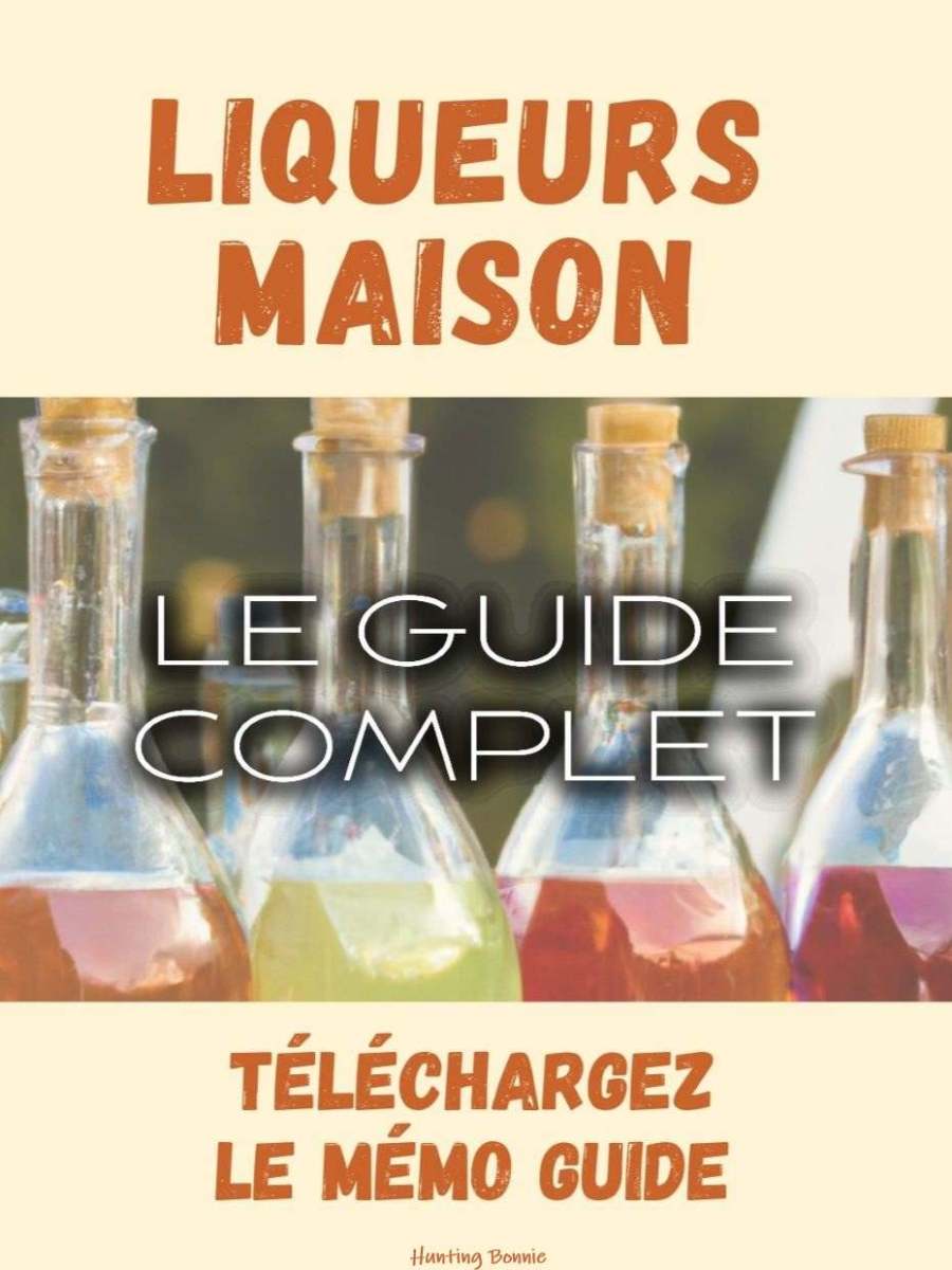 LIQUEURS MAISON : Le Guide Complet