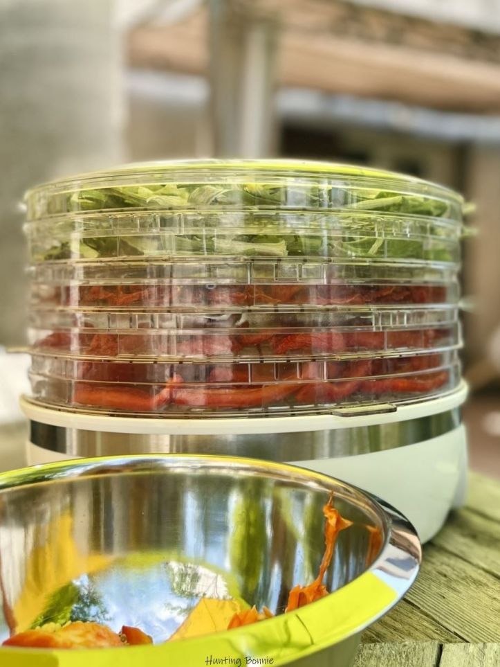 Aliments en cours de déshydratation