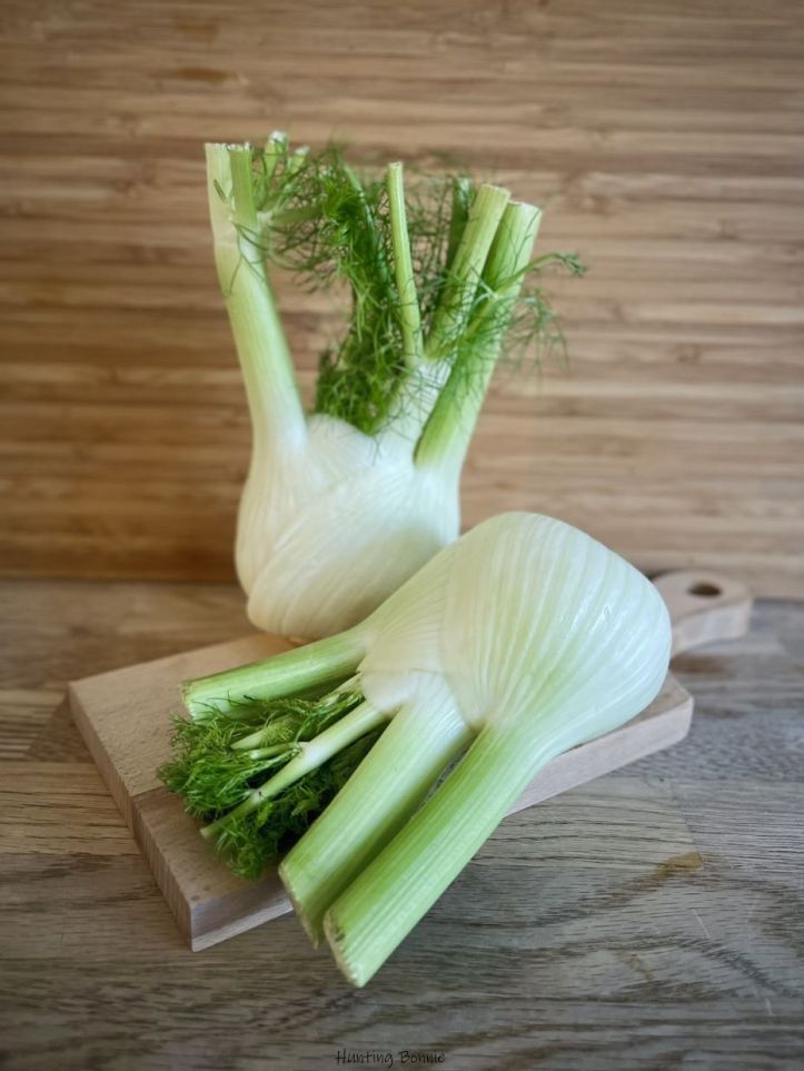 Fenouil Bulbeux