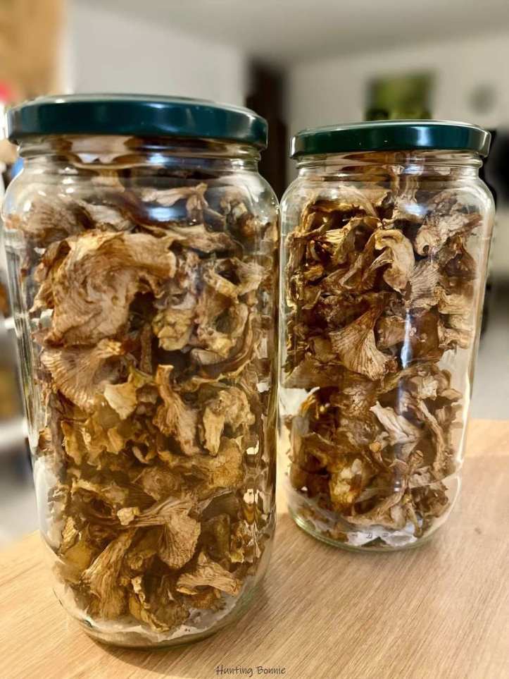 Giroles déshydratées