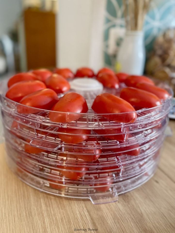 Préparation des tomates pour la déshydratation