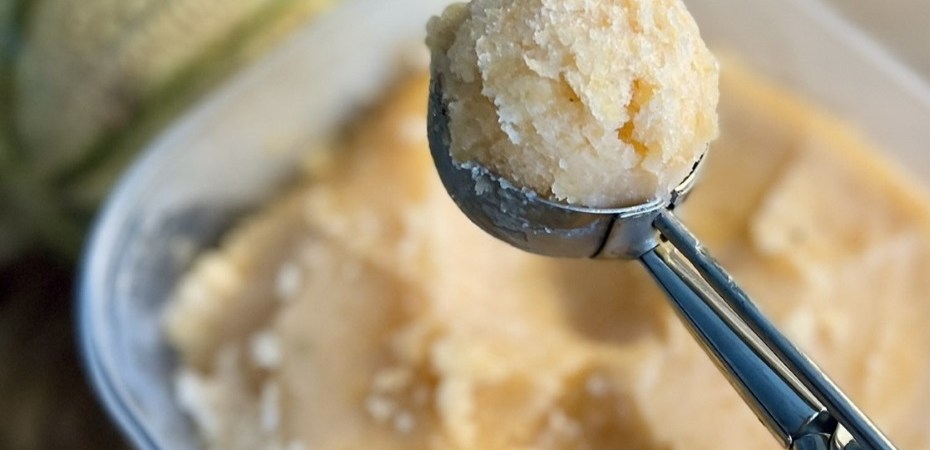 Sorbet au melon et au miel