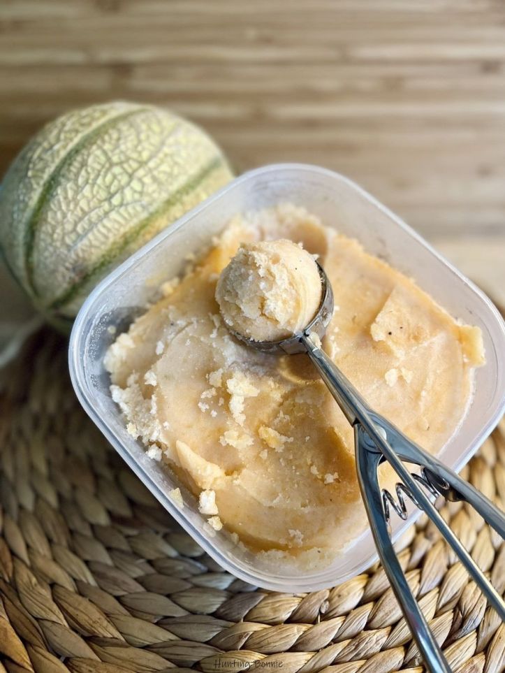Sorbet au melon et au miel