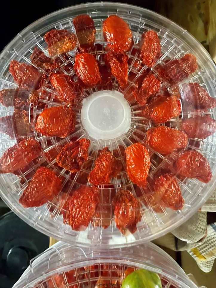 Tomates en cours de déshydratation