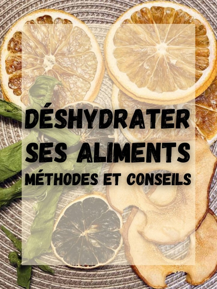 Déshydrater ses aliments méthodes et conseils