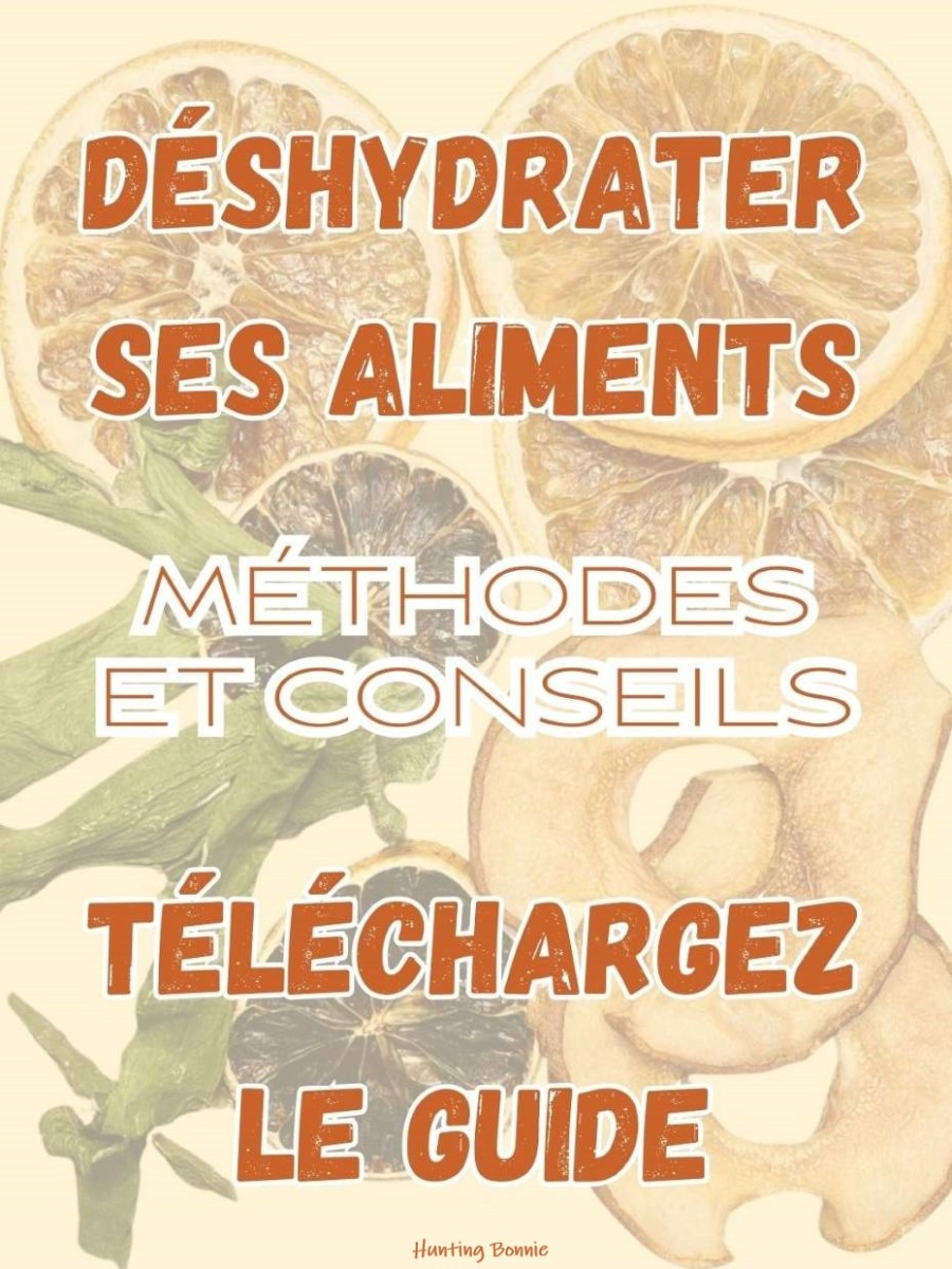 Déshydrater ses aliments : méthodes et conseils