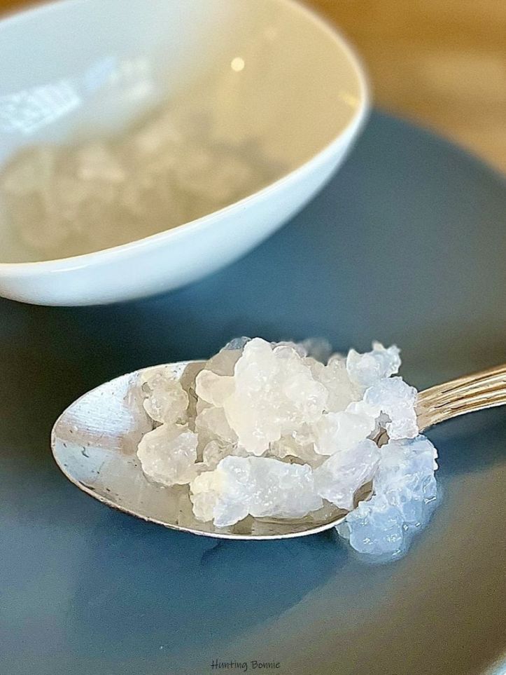 Grains de kéfir de fruits 