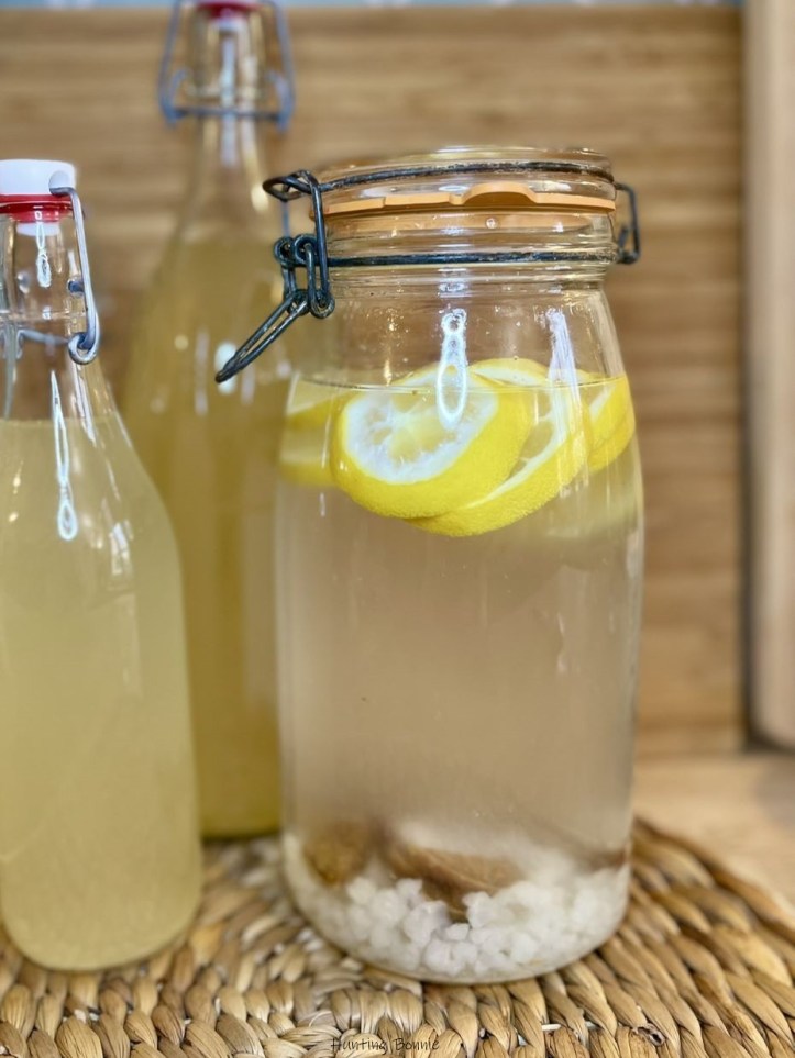 Première fermentation (F1) de kéfir de fruits