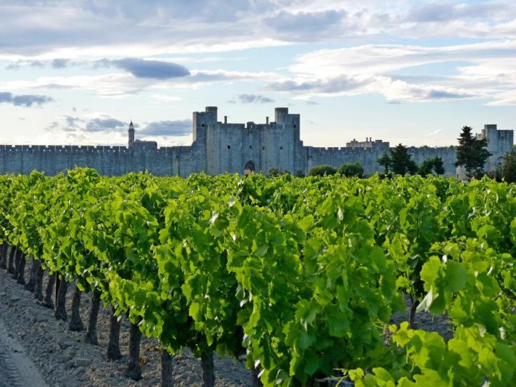 Aigues Mortes _ Crédit photo Vins Sable de Camargue