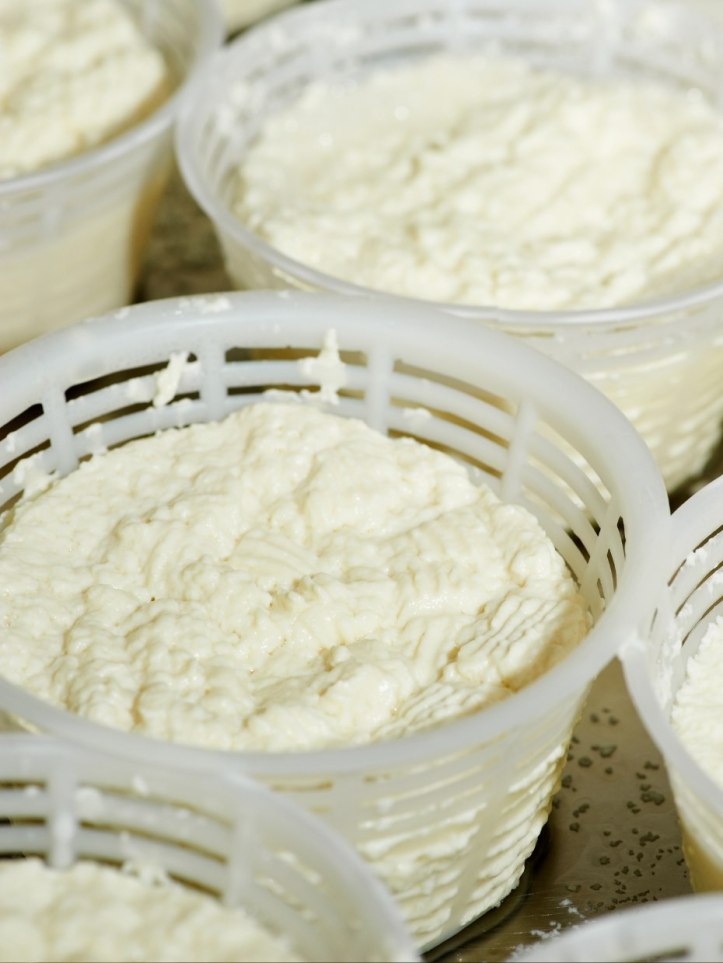 Ricotta