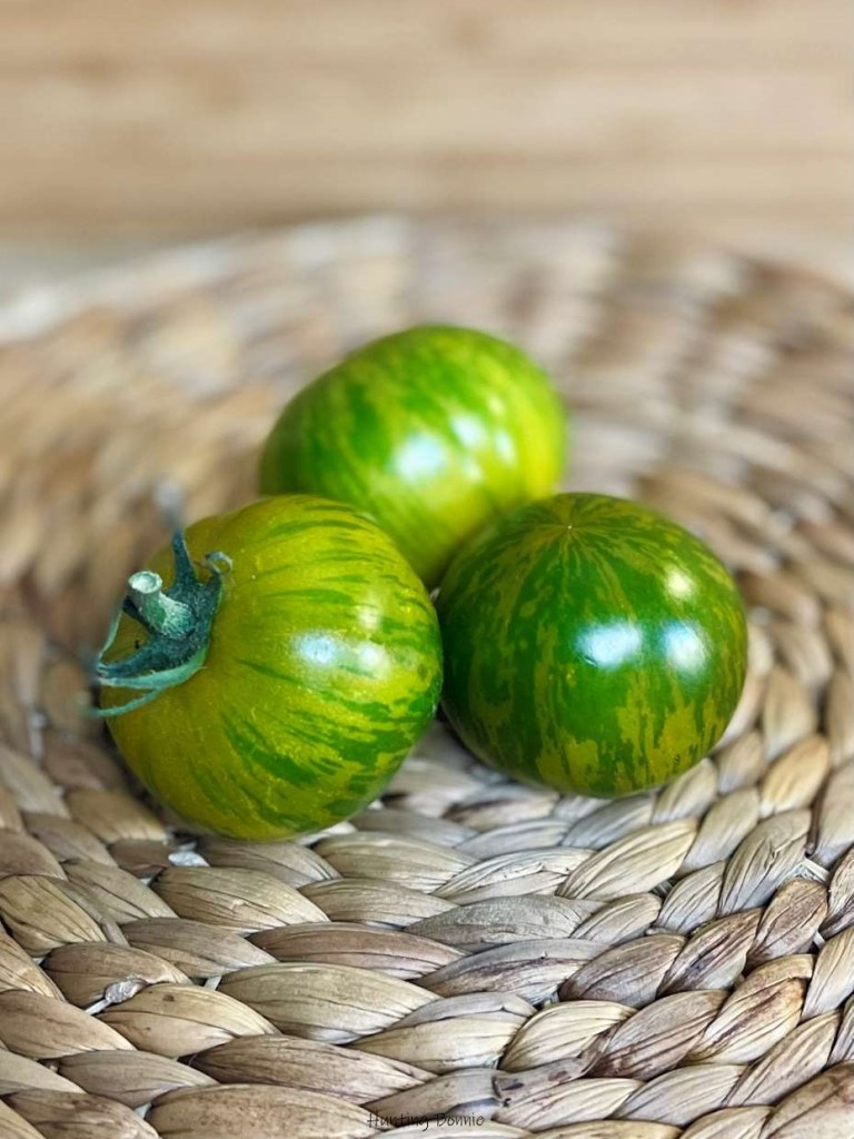 Tomates GREEN ZÉBRA