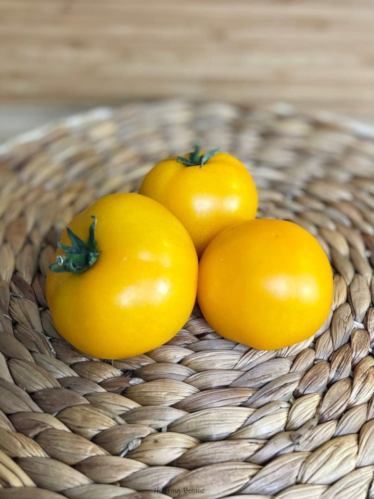 Tomates JAUNE