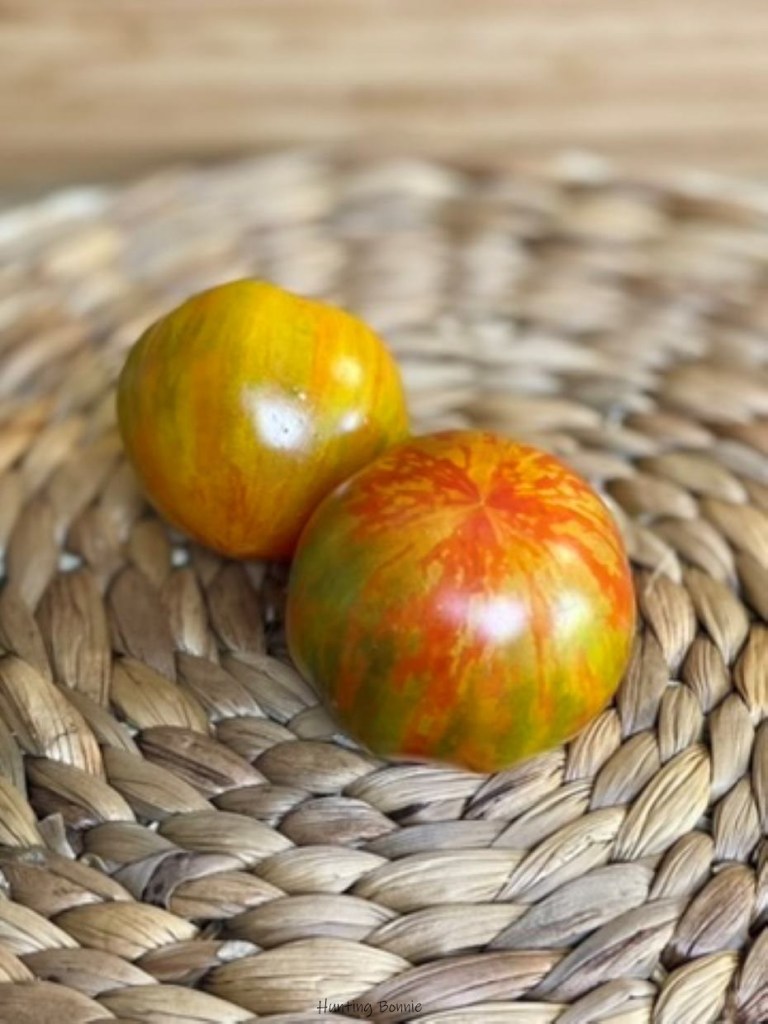 Tomates RED ZEBRA