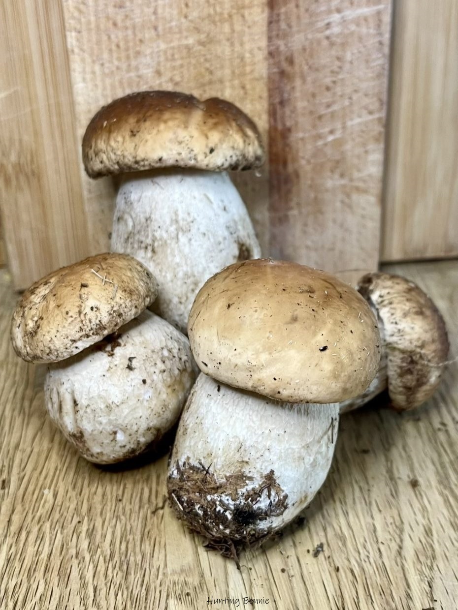 Cèpes en bocaux maison – Hunting Bonnie
