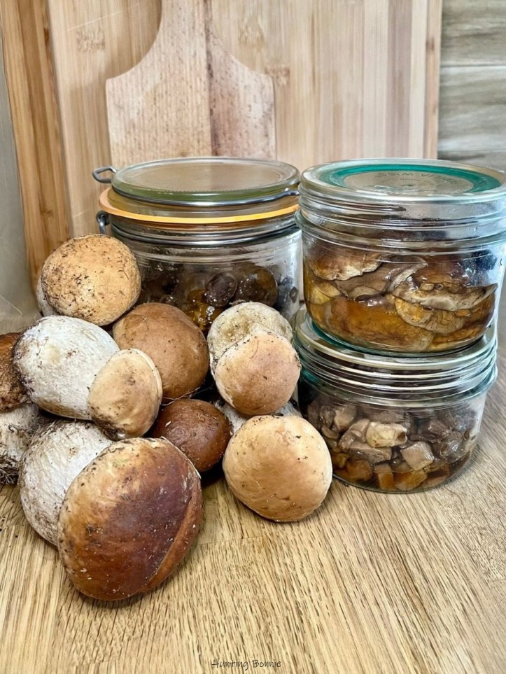 Cèpes en bocaux maison