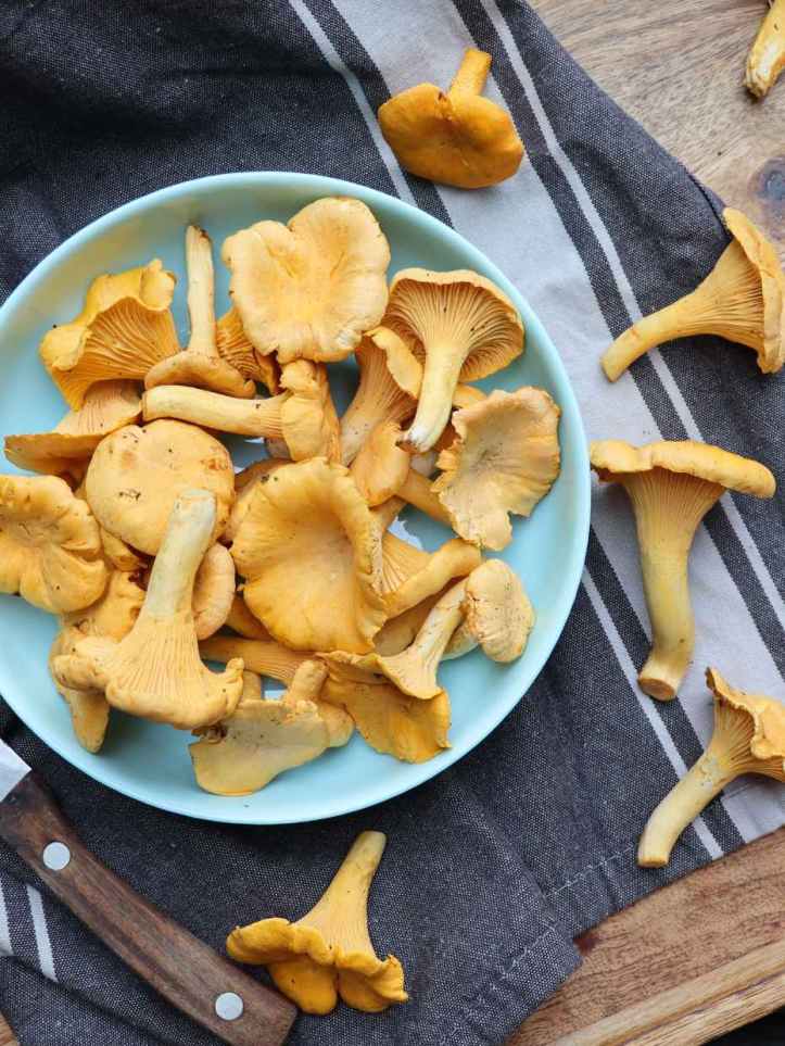 Girolles