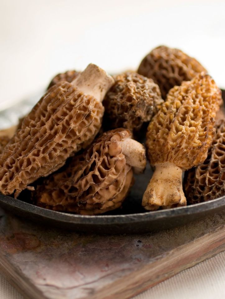 Morilles