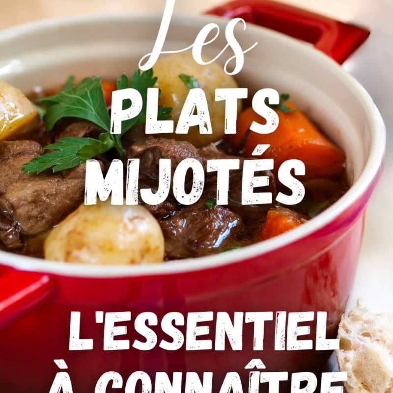 Les PLATS MIJOTÉS : L’Essentiel à Connaître (+ Recettes)