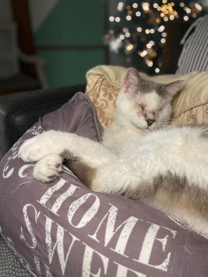 Gilbert, mon bébé aveugle. 11 ans