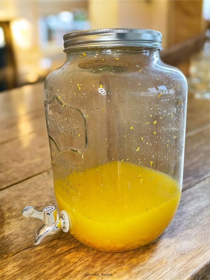 Début de la 1ere macération du vin d'orange maison