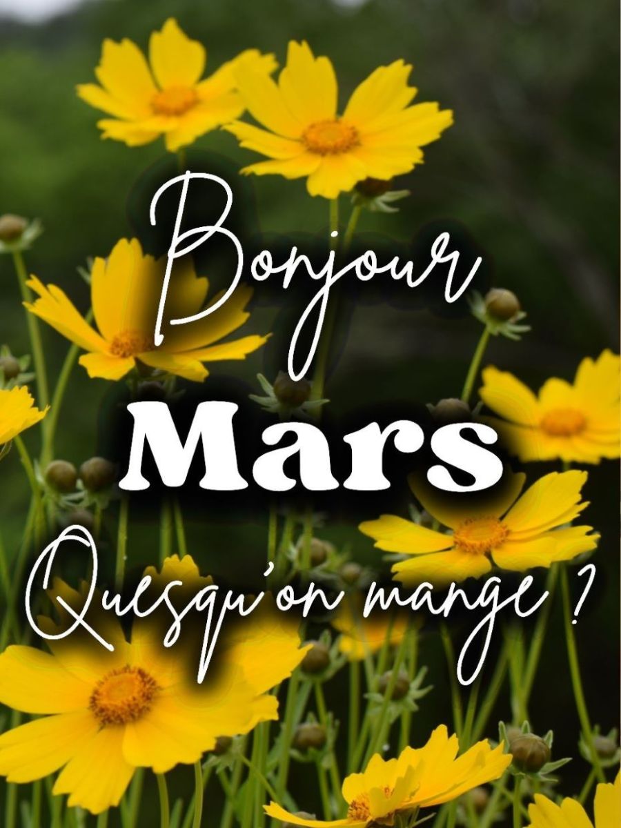Bonjour Mars 2026 !