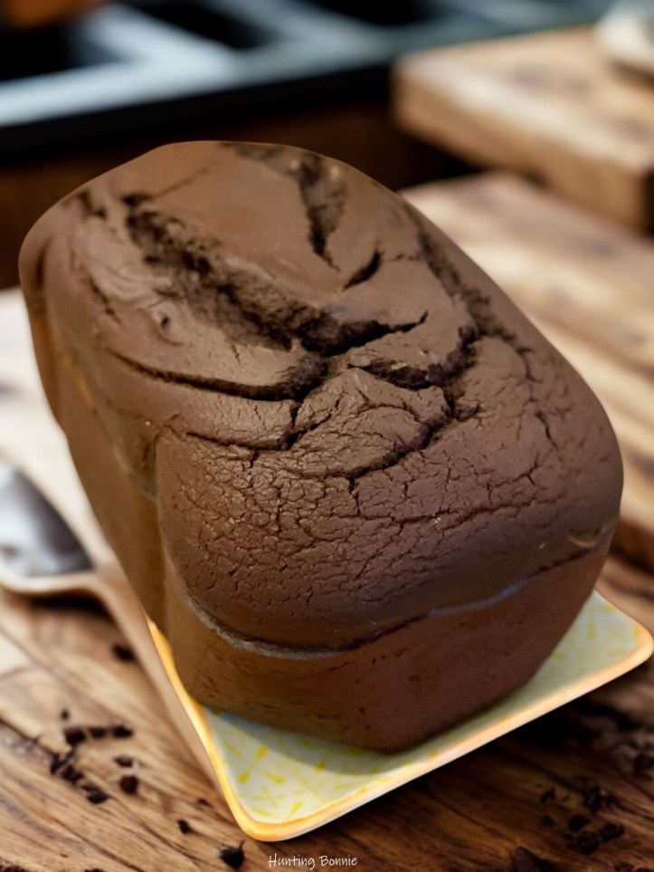 Gâteau au cacao à la Machine à pain (MAP)