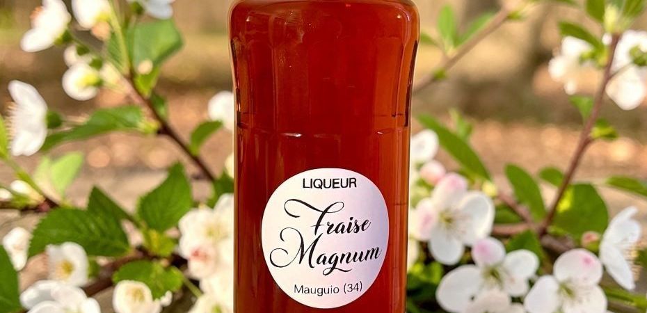 Liqueur de fraise maison