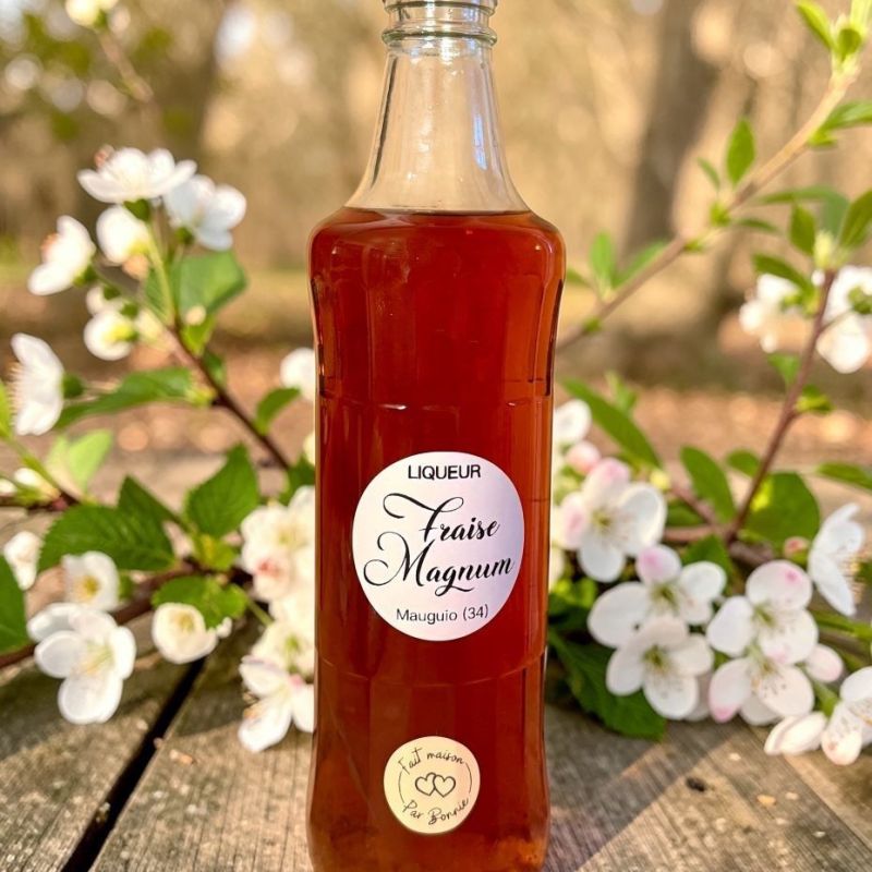 Liqueur de fraise maison