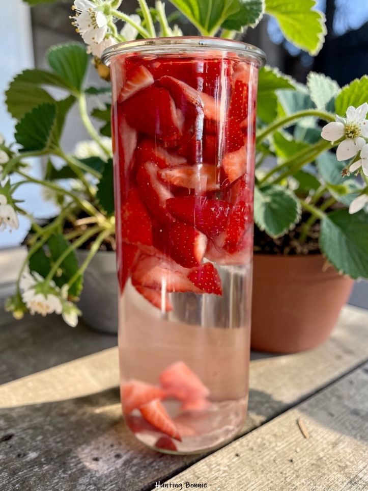 Macération de la Liqueur de fraise maison